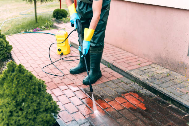 Best Solar Panel Cleaning  in Forrest, IL