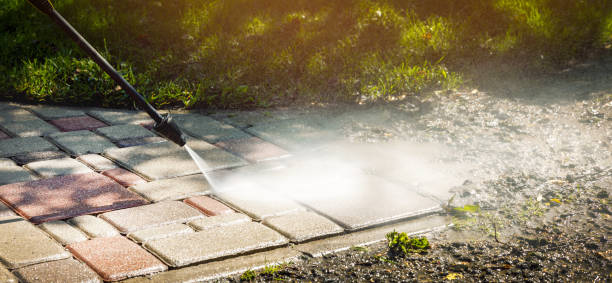 Best Concrete Sealing  in Forrest, IL
