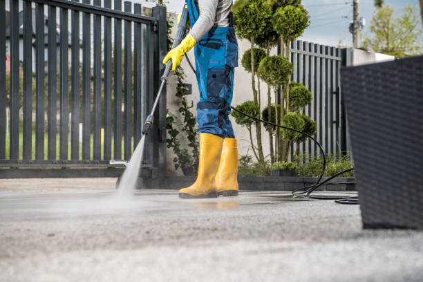 Best Playground Equipment Cleaning  in Forrest, IL