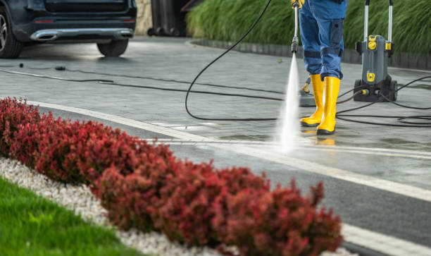 Best Soft Washing  in Forrest, IL